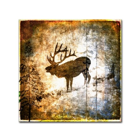 LightBoxJournal 'High Country Elk' Canvas Art,24x24